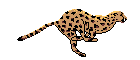 7559q.gif (7232 bytes)