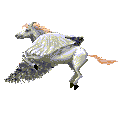 d8391.gif (12152 bytes)